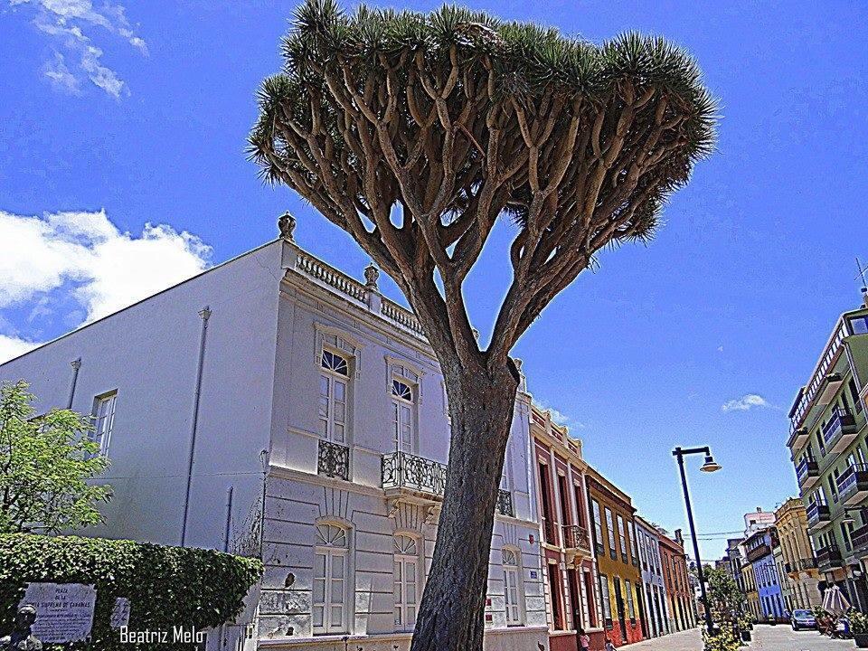Apartamento Maya Las Lagunas Exterior photo